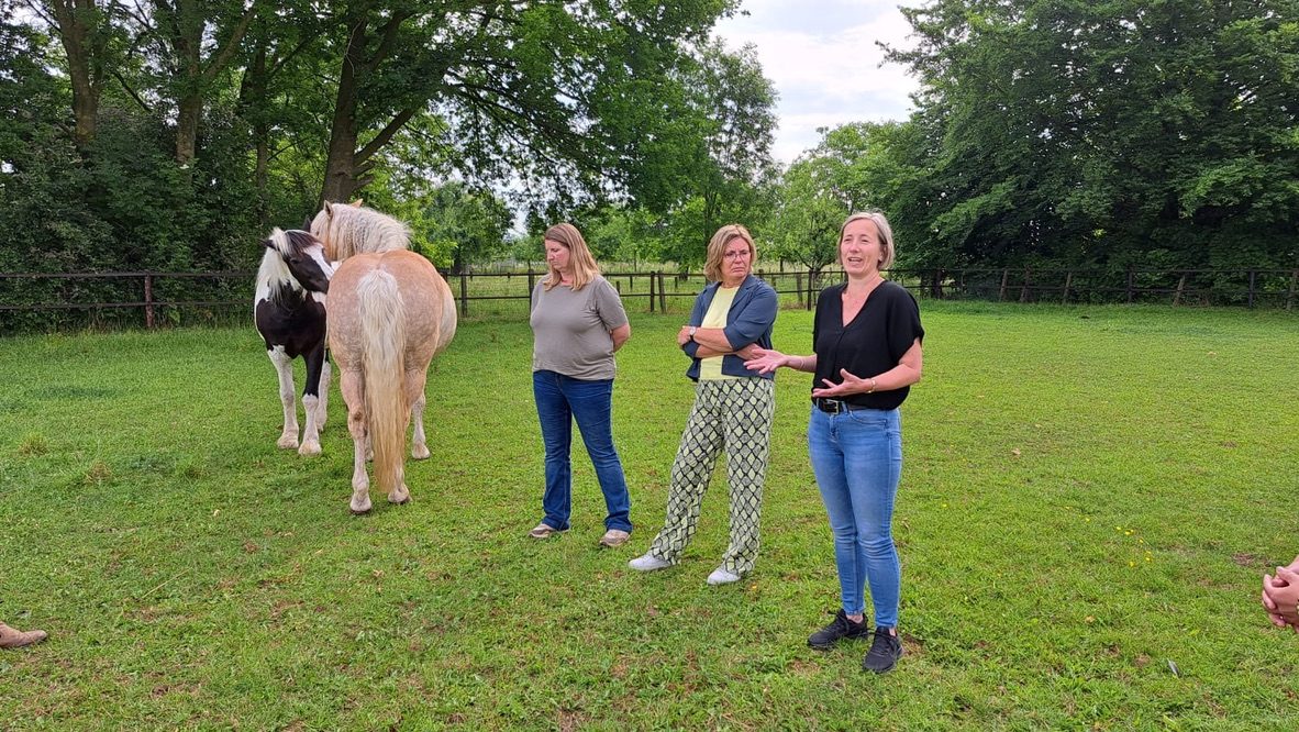 Groep deelnemers in de wei met twee paarden, een coach vertelt wat er gaat gebeuren