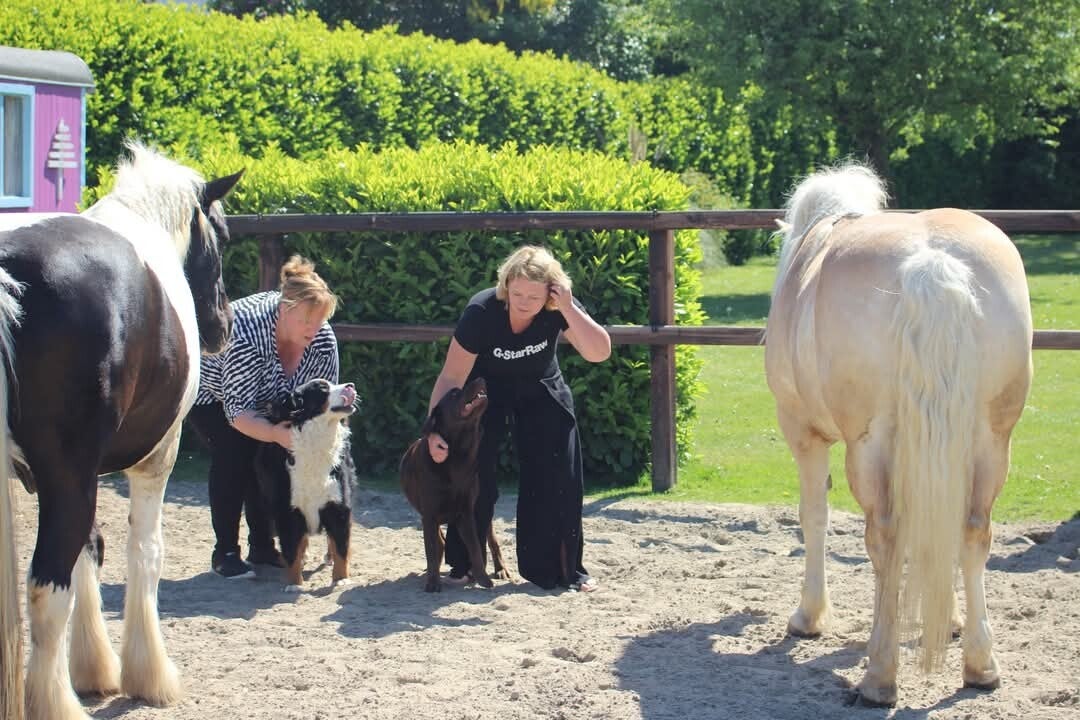 Jessica en Chantal met de honden en een paard