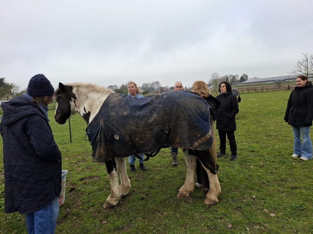 Deelnemers aan een workshop staan rond een paard met deken op een winterse dag in de wei